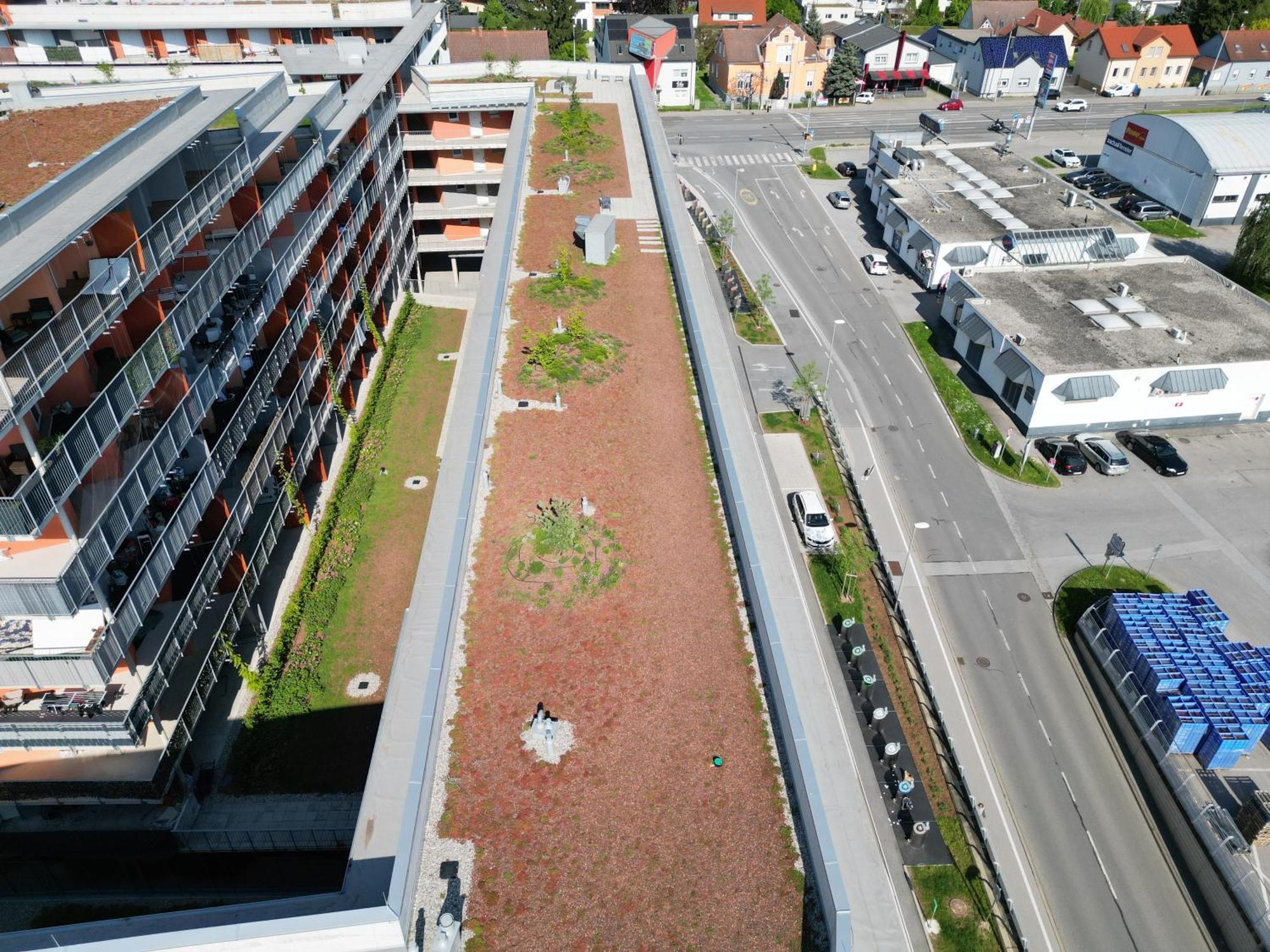 100 Qm Penthouse, Self-Check-In, 2 Parkplaetze Lägenhet Graz Exteriör bild